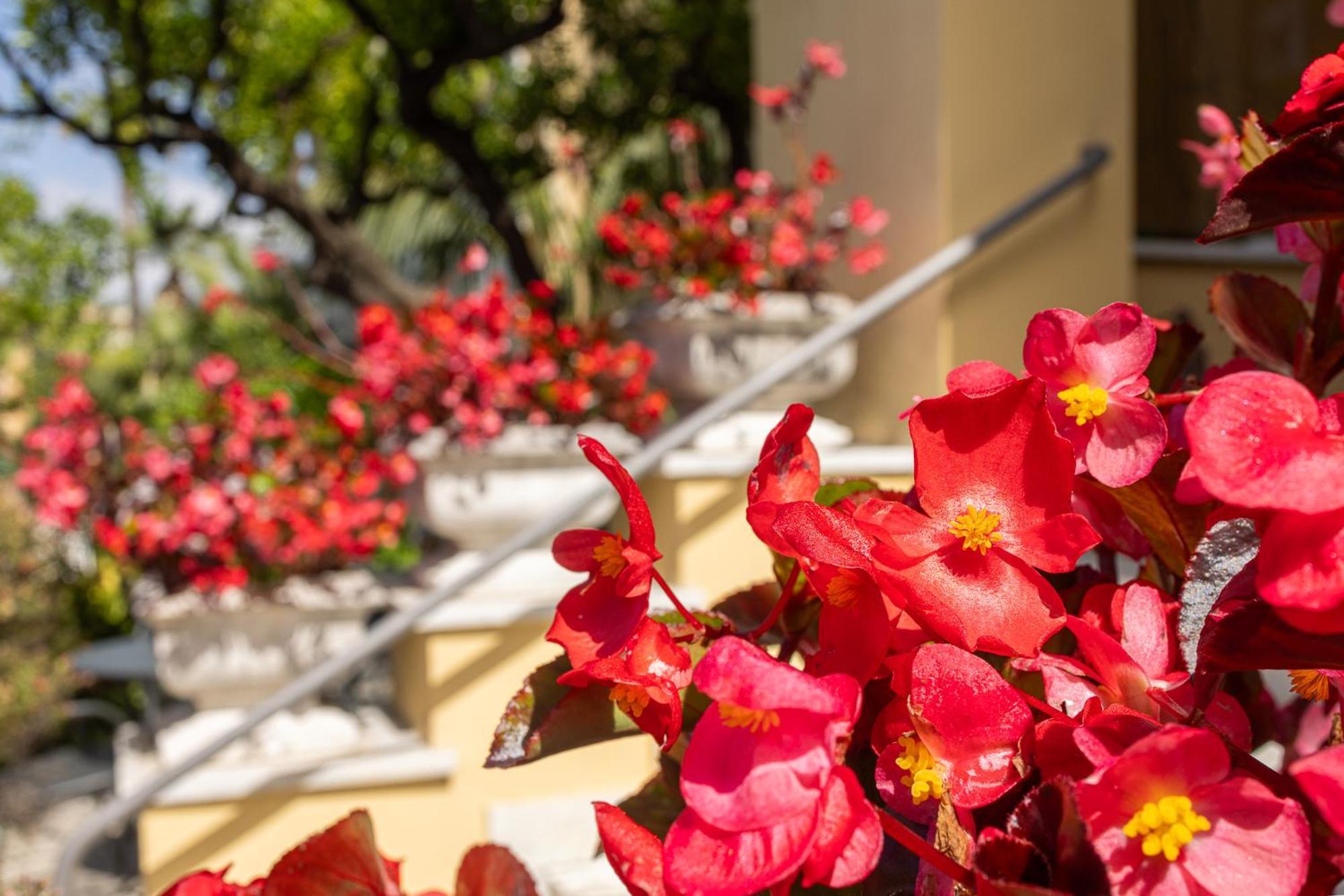 Hotel Villa Elisa & Spa Бордихера Екстериор снимка