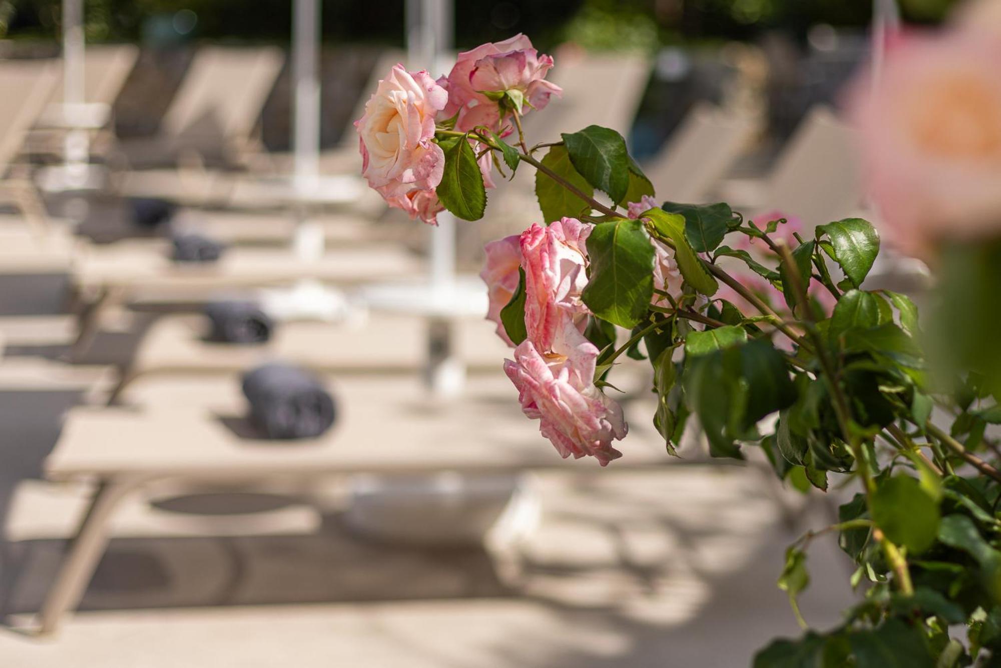 Hotel Villa Elisa & Spa Бордихера Екстериор снимка